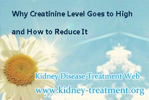 Why Creatinine Level Goes to High and How to Reduce It
