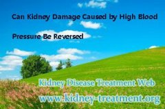 Can Kidney Damage Caused by High Blood Pressure Be Reversed