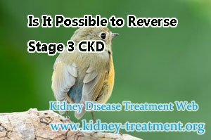 Is It Possible to Reverse Stage 3 CKD