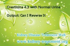 Creatinine 4.3 with Normal Urine Output: Can I Reverse It