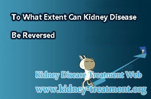 To What Extent Can Kidney Disease Be Reversed