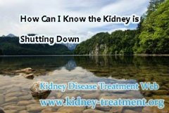 How Can I Know the Kidney is Shutting Down