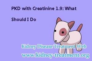PKD with Creatinine 1.9: What Should I Do