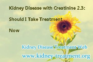 Kidney Disease with Creatinine 2.3: Should I Take Treatment Now