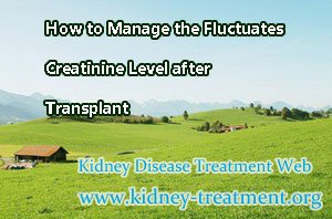 How to Manage the Fluctuates Creatinine Level after Transplant