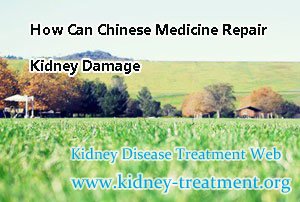How Can Chinese Medicine Repair Kidney Damage