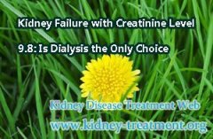 Kidney Failure with Creatinine Level 9.8: Is Dialysis the Only Choice