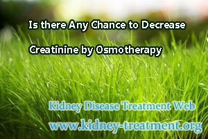 Is there Any Chance to Decrease Creatinine by Osmotherapy