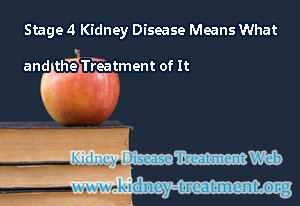 Stage 4 Kidney Disease Means What and the Treatment of It