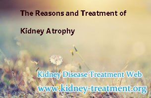 The Reasons and Treatment of Kidney Atrophy