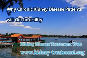 Why Chronic Kidney Disease Patients will Get Infertility