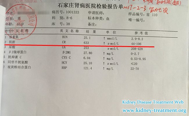 Good News:Diabetic Nephropathy Patient Reduced high Creatinine Remarkably