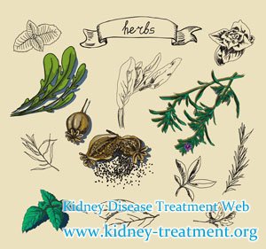 What is the Natural Treatment to Nephrotic Syndrome