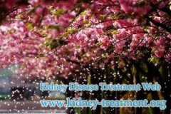How To Remove Protein In Urine For One with CKD