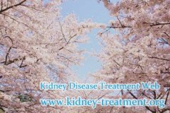 Protein in Urine with Higher Serum Creatinine: What is the Alternative Way For One with CKD