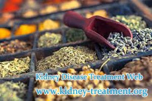 Can Kidney Failure Patients be Treated Without Dialysis