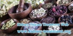 What are Holistic Treatments to PKD