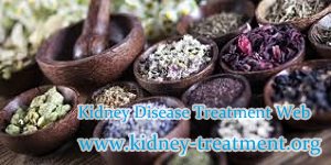 What are Holistic Treatments to PKD