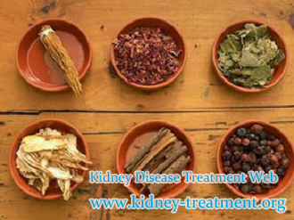 Is There Any Possible to Treat Hypertensive Nephropathy Naturally