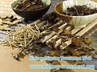 High Creatinine, Is Dialysis or Kidney Transplant A Must