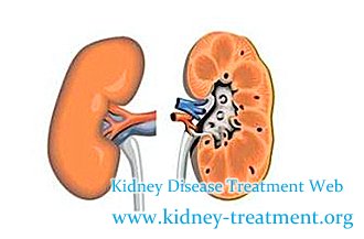 What are Treatments to Chronic Nephritis