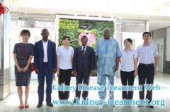 Special Counselor of the President of the Republic of Togo and Ambassador Visited Shijiazhuang Kidney Disease Hospital