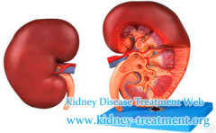Can Hypertensive Nephropathy be cured Apart from Dialysis