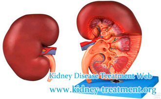 Can Hypertensive Nephropathy be cured Apart from Dialysis