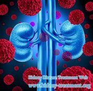 Lupus Nephritis and Creatinine 4, How to Improve the Renal Function