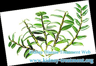 I Want Solution Without Dialysis to Diabetes and Kidney Disease