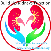 What Can I Take to Build Up My Kidney Function
