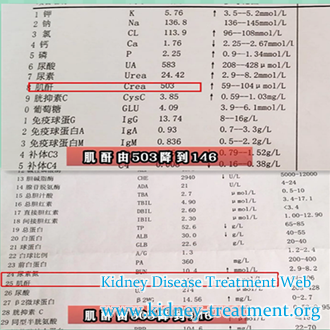 Creatinine 503 and Proteinuria, How to Treat Nephrotic Syndrome