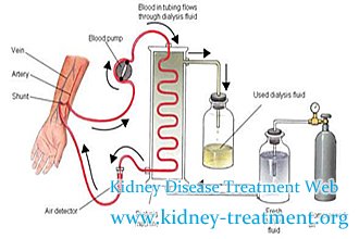Which Natural Therapy Can Help Kidney Failure Patients Prevent Dialysis