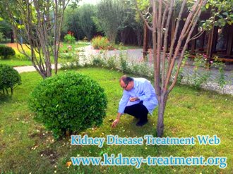 What is Treatment for A Person Who Has 80 Percent Kidney Failed
