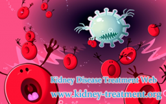 FSGS Renal Function 16% Low Hemoglobin Is Dialysis Needed