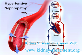 Weakness and Hypertension, Is There Any Way to Improve Kidney Function 15%