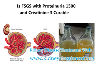 Is FSGS with Proteinuria 1500 Per 24h and Creatinine 3 Curable