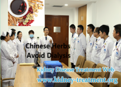 Does Chinese Herbs Available in India market to Help My Father Avoid Dialysis