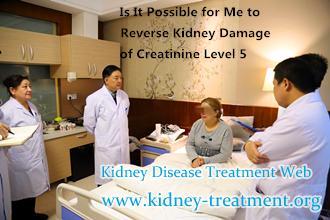 Is It Possible for Me to Reverse Kidney Damage of Creatinine Level 5
