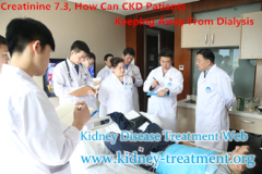 Creatinine 7.3, How Can CKD Patients Keeping Away From Dialysis