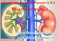 Creatinine Level At Present is 9.1, What Should We Do