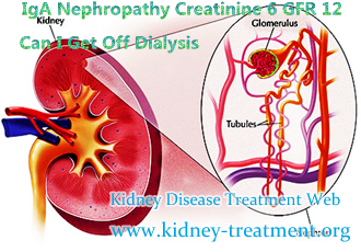IgA Nephropathy Creatinine 6 GFR 12 Can I Get Off Dialysis