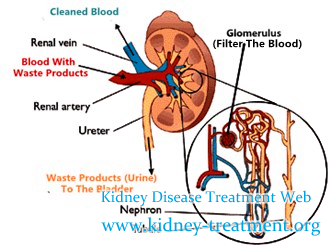 Creatinine 3.9 How to Treat Anemia and Itching Skin in FSGS