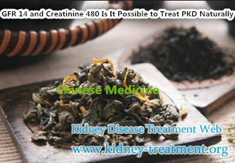 GFR 14 and Creatinine 480 Is It Possible to Treat PKD Naturally
