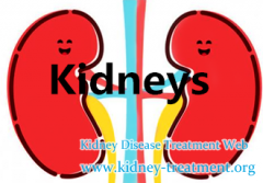 Should I Be Concerned With A Creatinine of 4.89 and a GFR of 27 in IgA Nephropathy