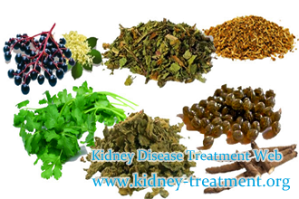 Herbal Medicine Which one Is to Be Used in Treating Kidneys