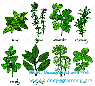 Is Chinese Medicine Still Available for End Stage Renal Disease Patients