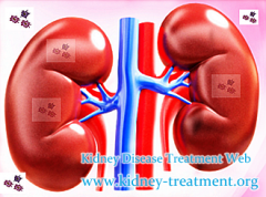 Creatinine 6 No Dialysis Is IgA Nephropathy Curable