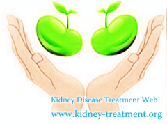 What Can We Do To Improve Healthy Concerning the Kidney Failure