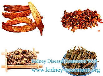 Chinese Herbal Medicine Would Hypertensive Kidney Disease Be Cured